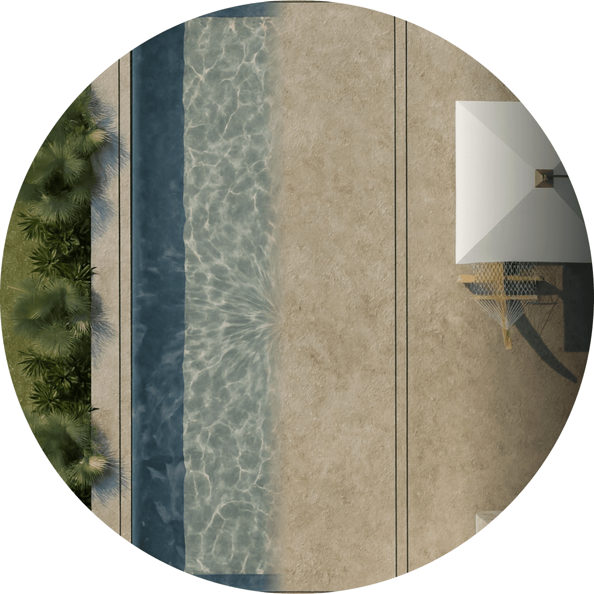 Discovery and Consultation