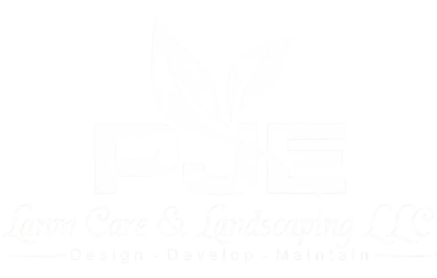 Diseño sin título (2) 1